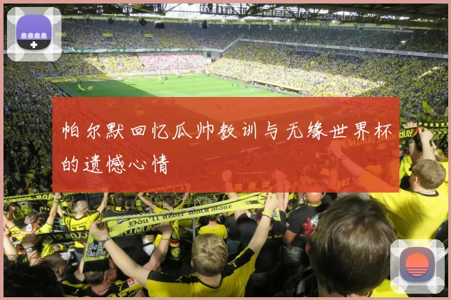 帕尔默回忆瓜帅教训与无缘世界杯的遗憾心情